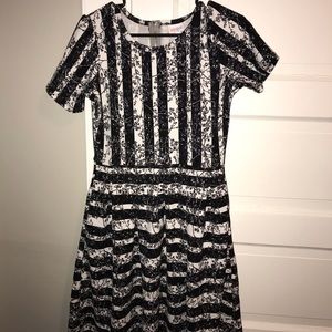 Lularoe Amelia M